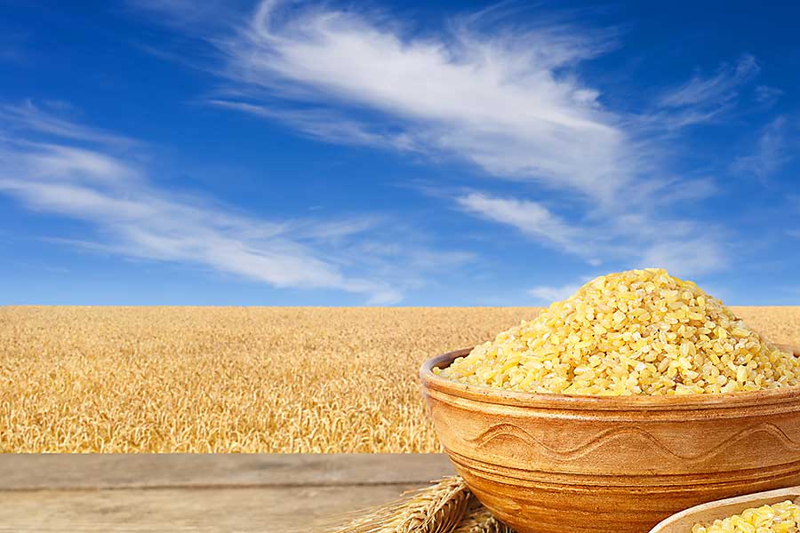 couscous raw grain and wheat crop