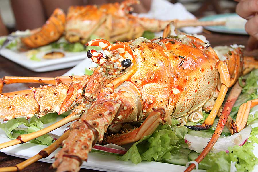 Caribbean grilled lobster