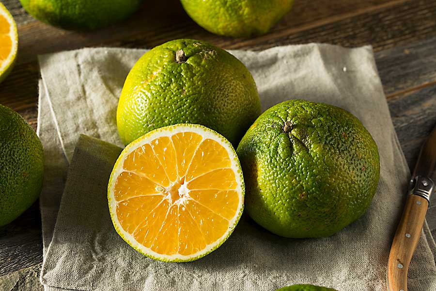 Ugli citrus fruits
