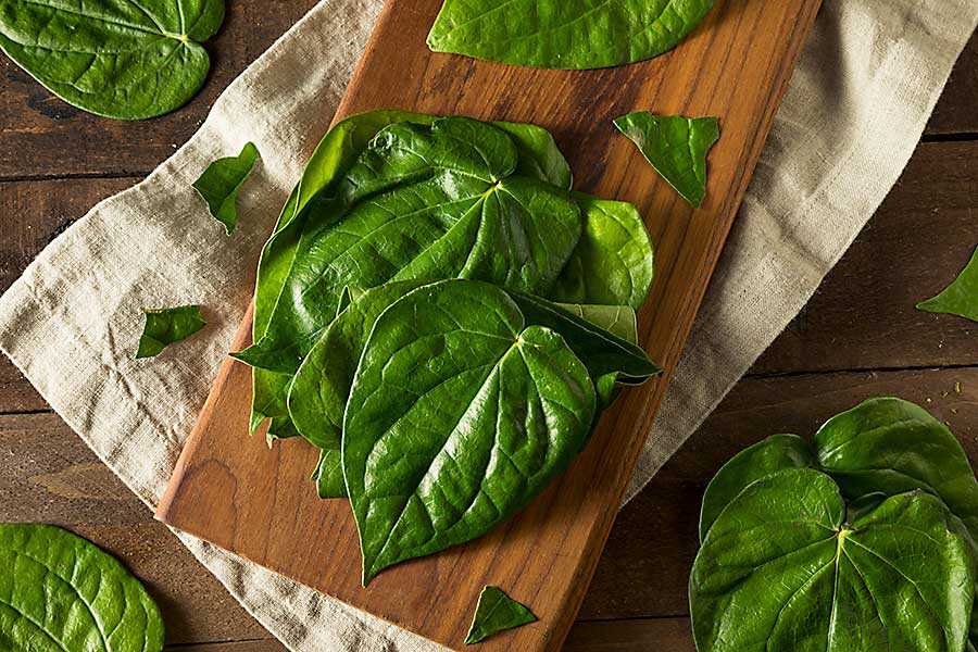 Raw Organic Green Betel Leaves Ready to Cook With