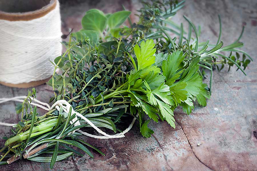 Bouquet garni - herbs: parsley, rosemary, oregano,