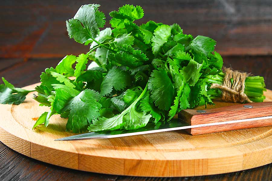 Coriander leaves on the cutting board