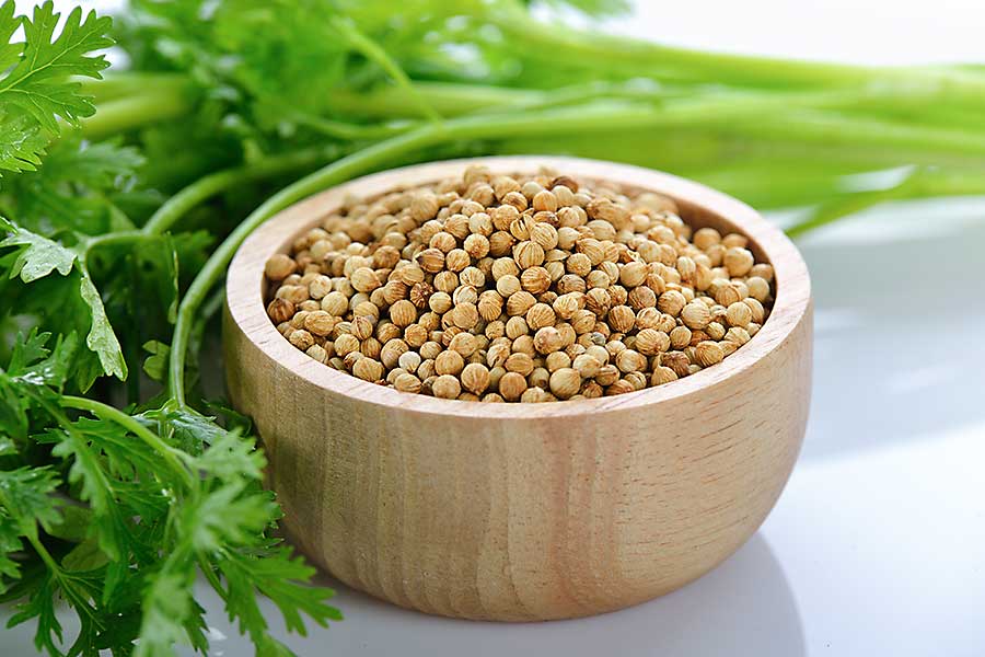 Coriander seed in the bowl