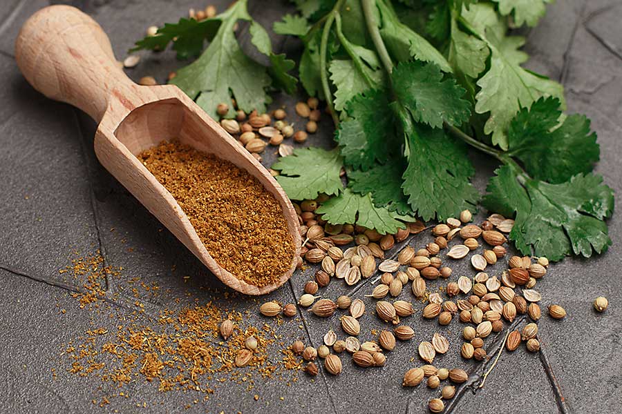 Coriander seed and leaves
