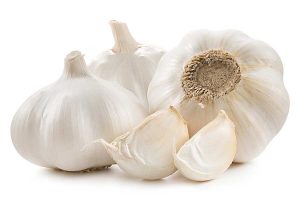 Dried garlic bulbs