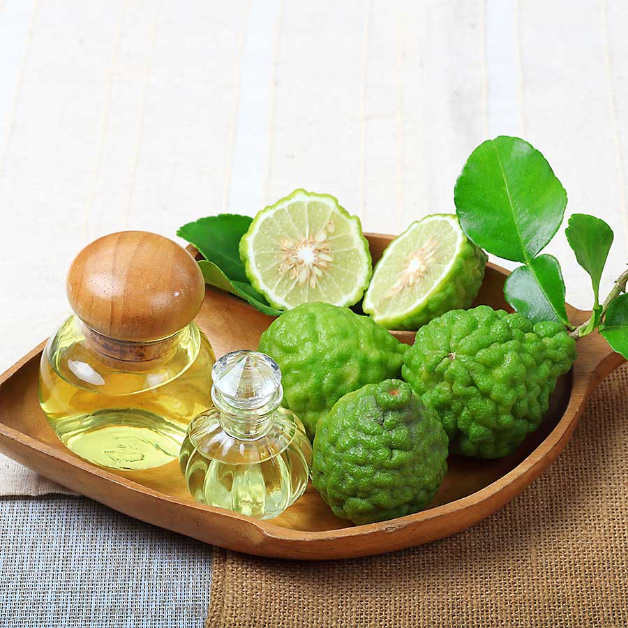 Kaffir lime fruits, leaves and essential kaffir lime oil
