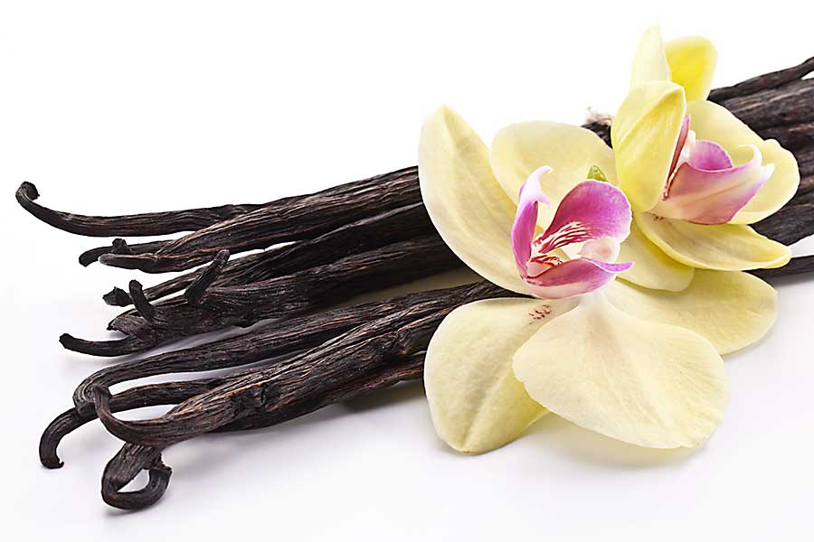 Vanilla dried beans and fresh flowers