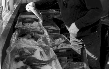 Chef Michael Chatto choosing the freshest fish of the day from the fish markets