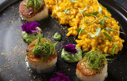 Chef Jonathan Barone Private Chef Scallops Haute Style Dish