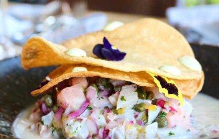 Chef Poc Saenz Rockfish Ceviche