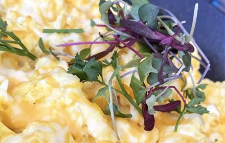 Chef Christina Gray Breakfast Omelette Dish