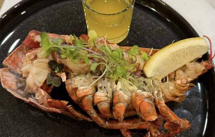 Chef Stephen Ingber Lobster Dish