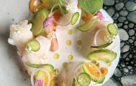 Chef Juan Velilla Haute Style Green Dish