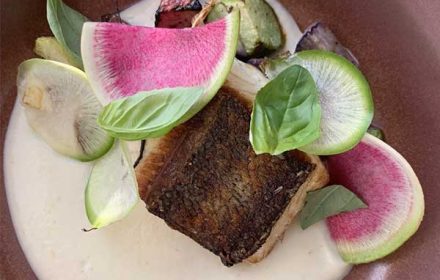 Chef Juan Velilla Private Chef Seared Salmon Haute Dish