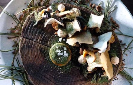 Chef James Porter Mushroom In everyday possible (meringue, puree, pickle, tuille, raw) soft egg and spinach