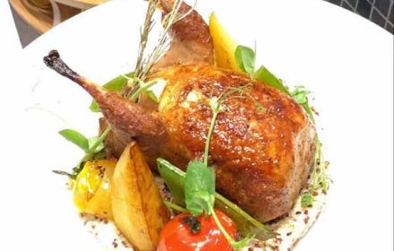 Chef Pierre Jorion pigeon roasted celeriac purée cromesquie and jus corsée