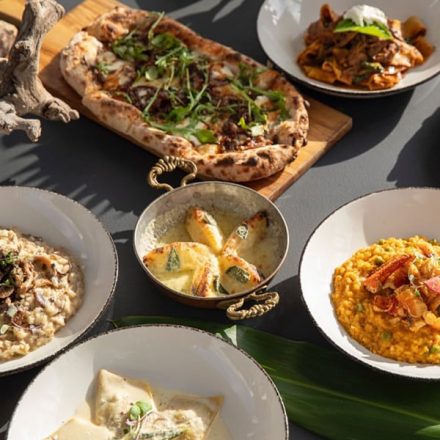 Picture of Chef Jean Pierre Palacio's mediterranean inspired dishes set on a table